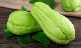 临沂吃生瓜网红叫什么,挑战味蕾极限！